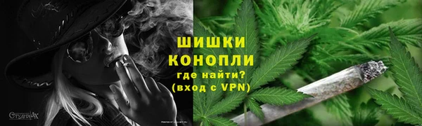 стафф Протвино