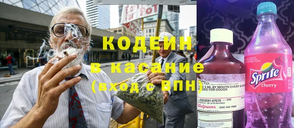 гашик Апатиты