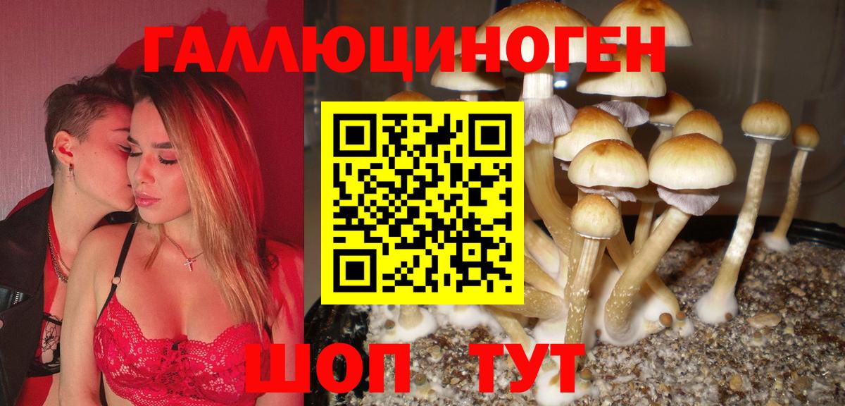 Среднеуральск  Галлюциногенные грибы мухоморы  Галлюциногенные грибы Psilocybe  наркота  Вход с VPN 
