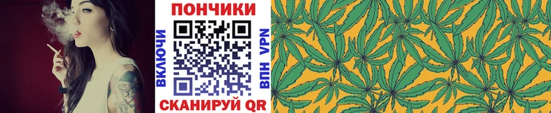 МАРИХУАНА семена  где продают   гидра ссылки  Среднеуральск 